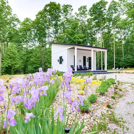 Modern Bellaire Cabin Less Than 5 Mi To Lake And Slopes!